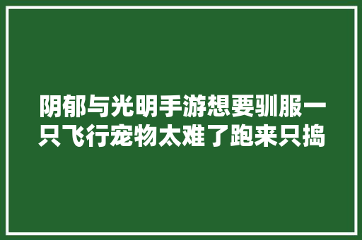 阴郁与光明手游想要驯服一只飞行宠物太难了跑来只捣乱的