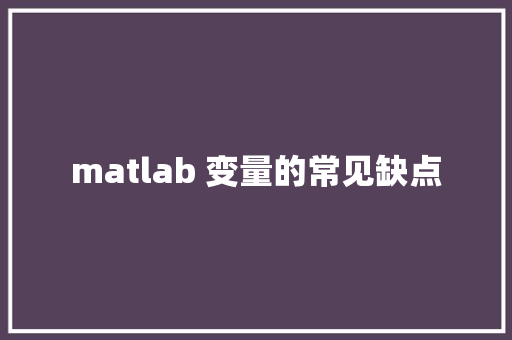 matlab 变量的常见缺点