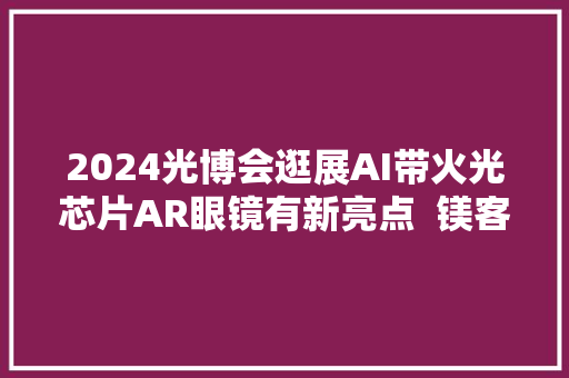 2024光博会逛展AI带火光芯片AR眼镜有新亮点  镁客网在现场