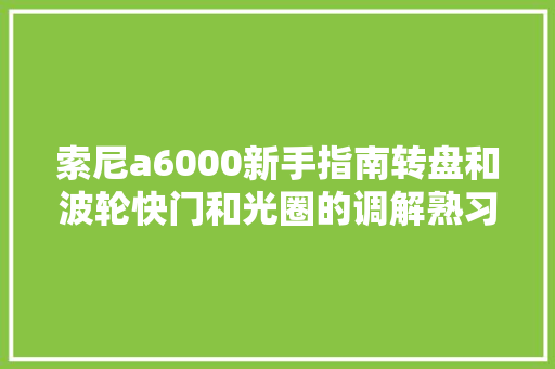 索尼a6000新手指南转盘和波轮快门和光圈的调解熟习M档。