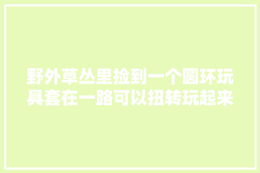 野外草丛里捡到一个圆环玩具套在一路可以扭转玩起来很解压