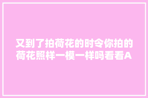 又到了拍荷花的时令你拍的荷花照样一模一样吗看看AI画的吧