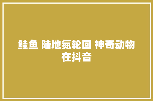 鲑鱼 陆地氮轮回 神奇动物在抖音