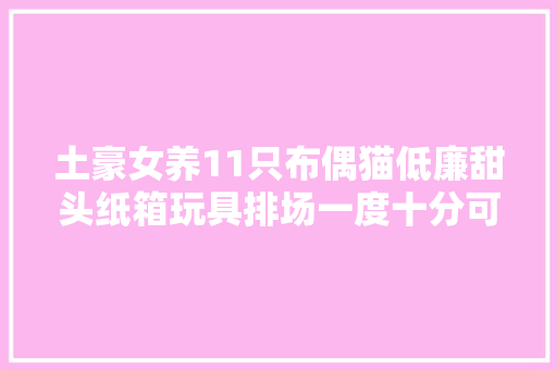 土豪女养11只布偶猫低廉甜头纸箱玩具排场一度十分可爱