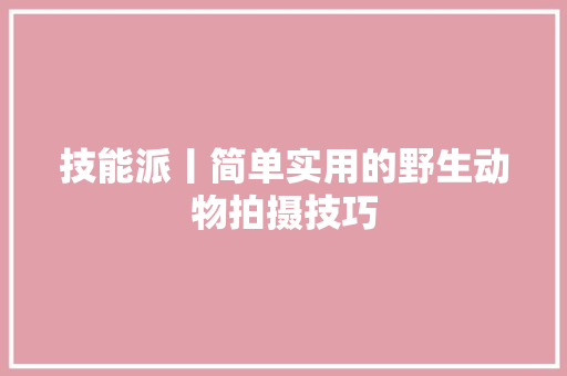 技能派丨简单实用的野生动物拍摄技巧