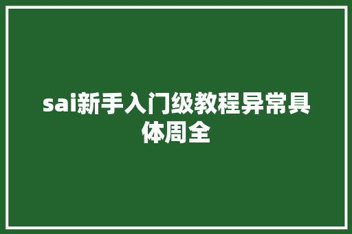 sai新手入门级教程异常具体周全