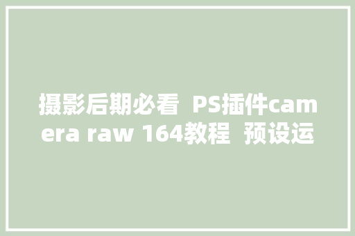 摄影后期必看  PS插件camera raw 164教程  预设运用与创建​