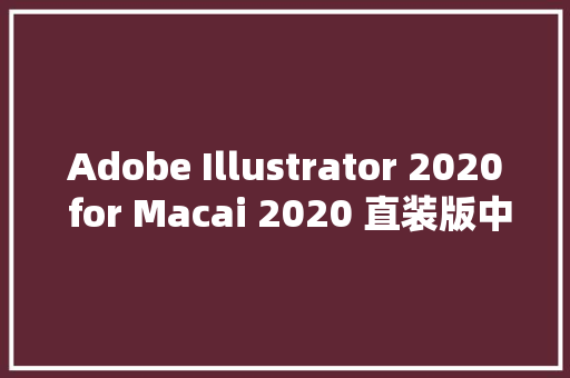 Adobe Illustrator 2020 for Macai 2020 直装版中文版