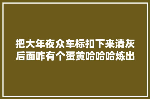 把大年夜众车标扣下来清灰后面咋有个蛋黄哈哈哈炼出金丹了