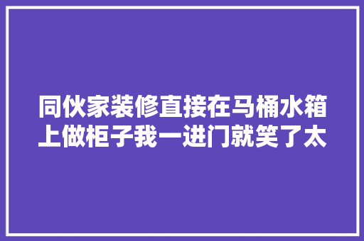 同伙家装修直接在马桶水箱上做柜子我一进门就笑了太奇葩了