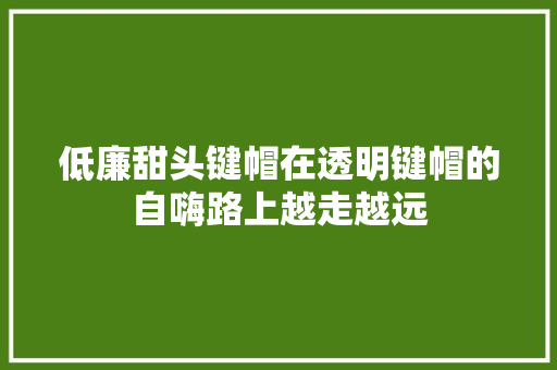 低廉甜头键帽在透明键帽的自嗨路上越走越远