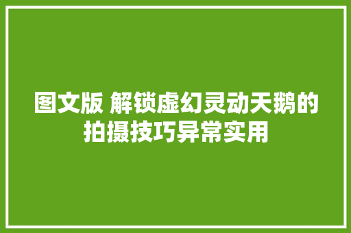 图文版 解锁虚幻灵动天鹅的拍摄技巧异常实用