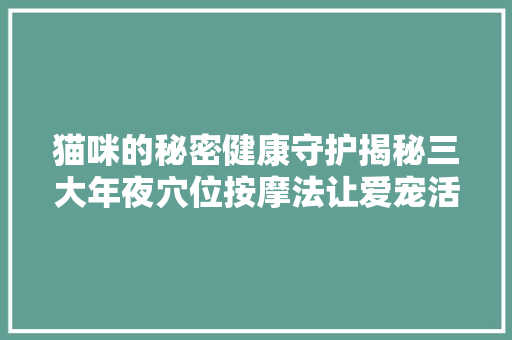 猫咪的秘密健康守护揭秘三大年夜穴位按摩法让爱宠活力满满