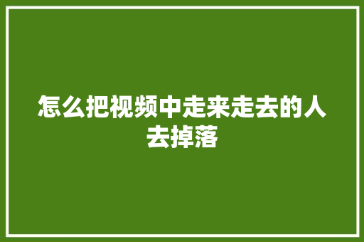 怎么把视频中走来走去的人去掉落