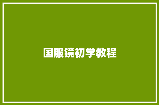 国服镜初学教程