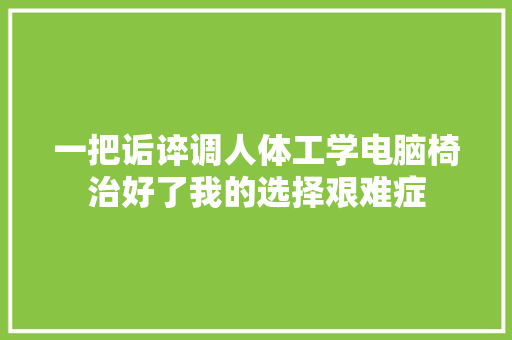 一把诟谇调人体工学电脑椅治好了我的选择艰难症