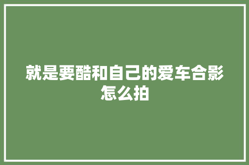 就是要酷和自己的爱车合影怎么拍