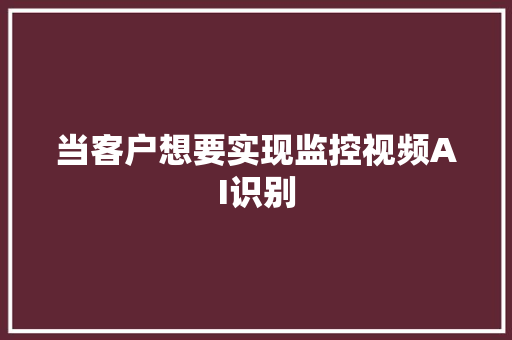 当客户想要实现监控视频AI识别