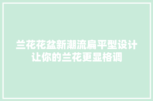 兰花花盆新潮流扁平型设计让你的兰花更显格调