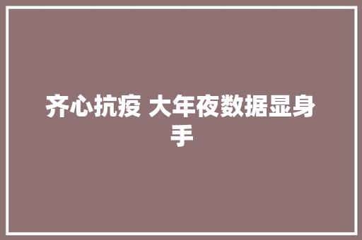 齐心抗疫 大年夜数据显身手