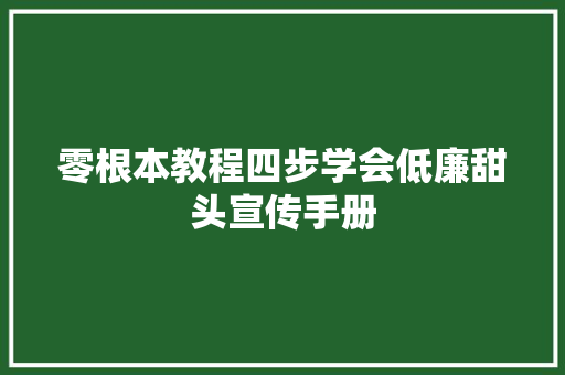 零根本教程四步学会低廉甜头宣传手册