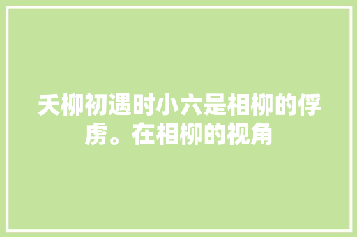 夭柳初遇时小六是相柳的俘虏。在相柳的视角