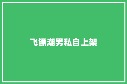 飞镖潮男私自上架