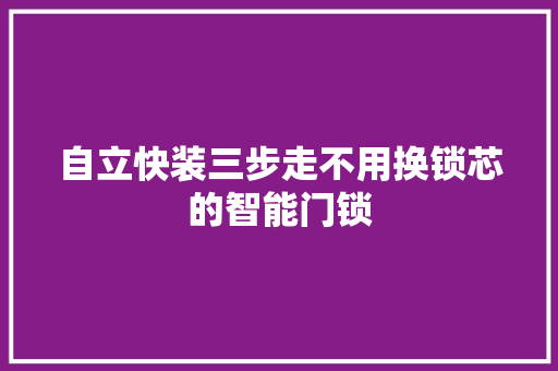 自立快装三步走不用换锁芯的智能门锁