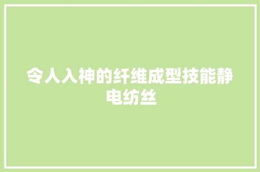 令人入神的纤维成型技能静电纺丝