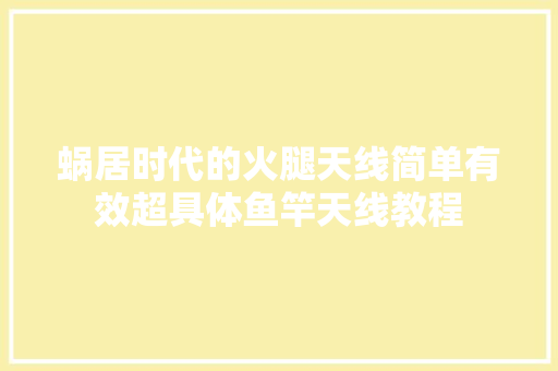 蜗居时代的火腿天线简单有效超具体鱼竿天线教程