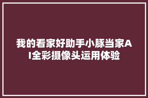 我的看家好助手小豚当家AI全彩摄像头运用体验