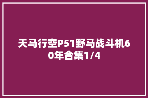 天马行空P51野马战斗机60年合集1/4