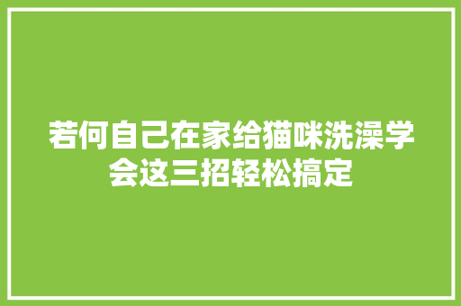 若何自己在家给猫咪洗澡学会这三招轻松搞定