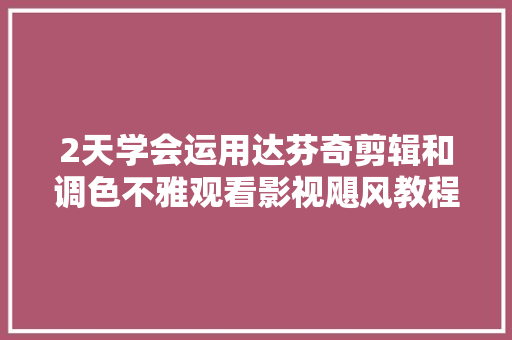 2天学会运用达芬奇剪辑和调色不雅观看影视飓风教程的笔记分享