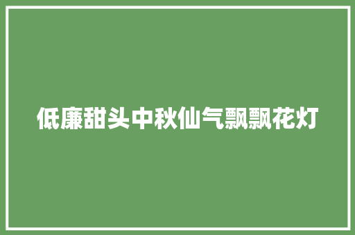 低廉甜头中秋仙气飘飘花灯