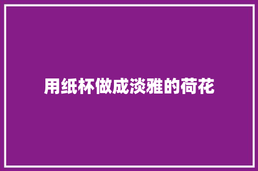 用纸杯做成淡雅的荷花