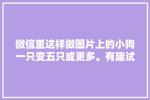 微信里这样做图片上的小狗一只变五只或更多。有趣试试吧