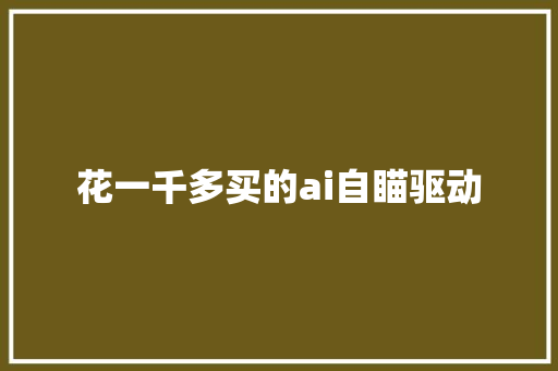 花一千多买的ai自瞄驱动