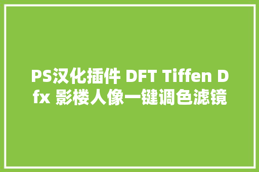 PS汉化插件 DFT Tiffen Dfx 影楼人像一键调色滤镜神器 WinMac