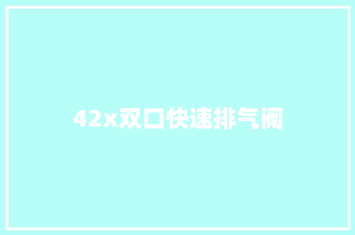 42x双口快速排气阀