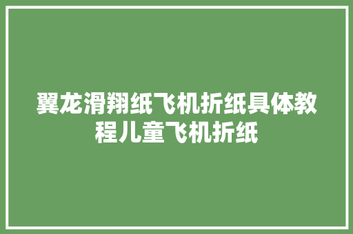 翼龙滑翔纸飞机折纸具体教程儿童飞机折纸