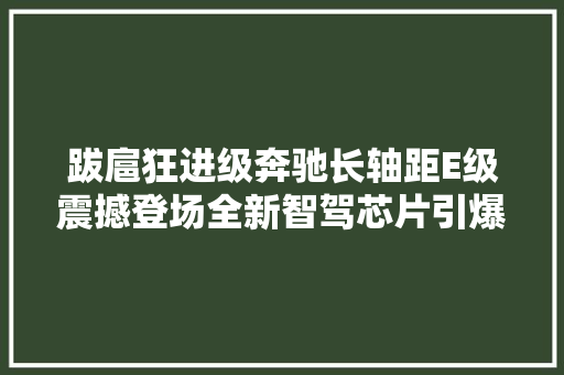 跋扈狂进级奔驰长轴距E级震撼登场全新智驾芯片引爆速度