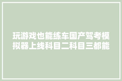 玩游戏也能练车国产驾考模拟器上线科目二科目三都能学