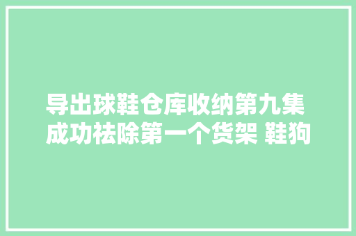 导出球鞋仓库收纳第九集 成功祛除第一个货架 鞋狗的日常