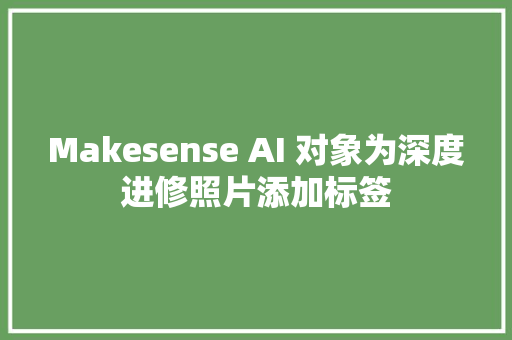 Makesense AI 对象为深度进修照片添加标签