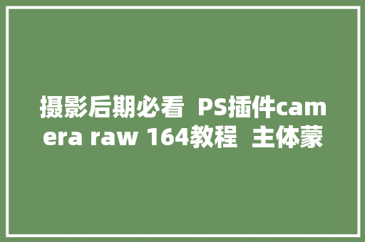 摄影后期必看  PS插件camera raw 164教程  主体蒙版与背景蒙版