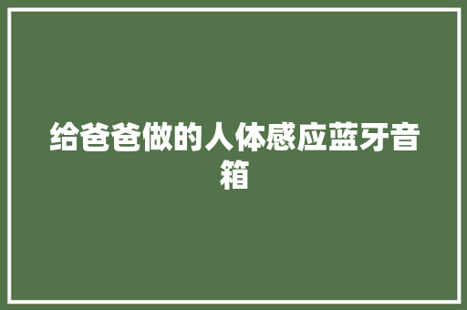 给爸爸做的人体感应蓝牙音箱