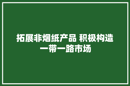 拓展非烟纸产品 积极构造一带一路市场