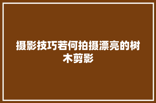 摄影技巧若何拍摄漂亮的树木剪影