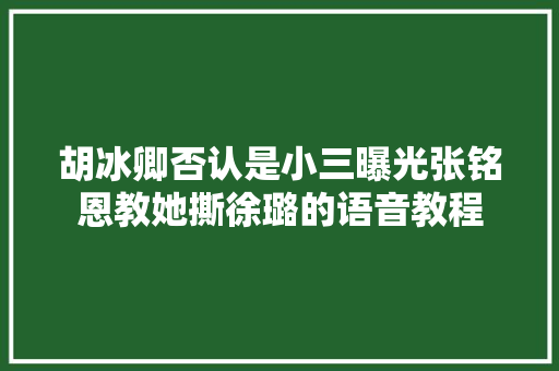 胡冰卿否认是小三曝光张铭恩教她撕徐璐的语音教程